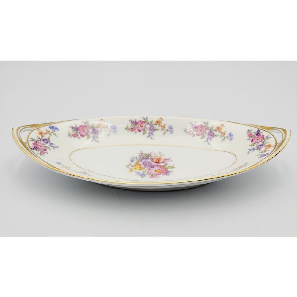 RARE MAGNIFICENT BOHEMIA FLORADORA CZECH VEGETABLE SERVING Plate 10" x 4.5"
